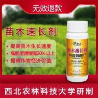 苗木速长剂