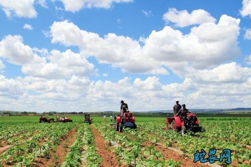 2020年农村扶贫政策